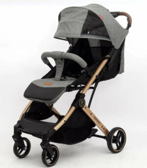 Popypapa Stroller Hand Trolley C9 | عربية بيبي يد ترولي بوبي بابا