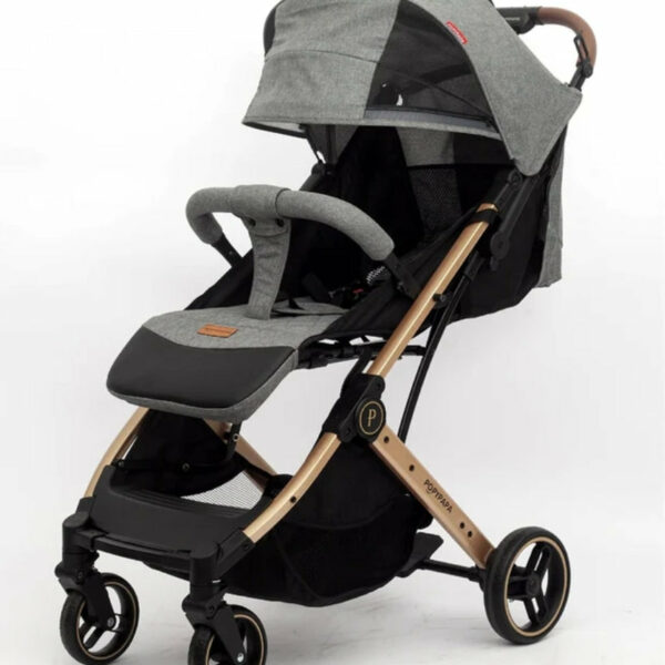 Popypapa Stroller Hand Trolley C9 | عربية بيبي يد ترولي بوبي بابا