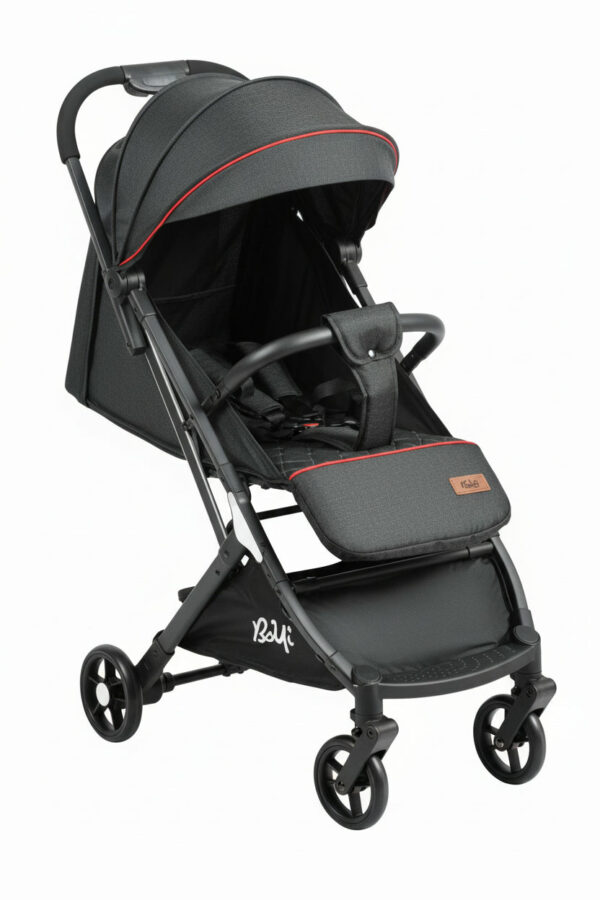 Boyi Stroller