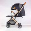 IMG_0363.jpg Lucid Pockit Plus stroller
