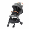 Boyi Stroller